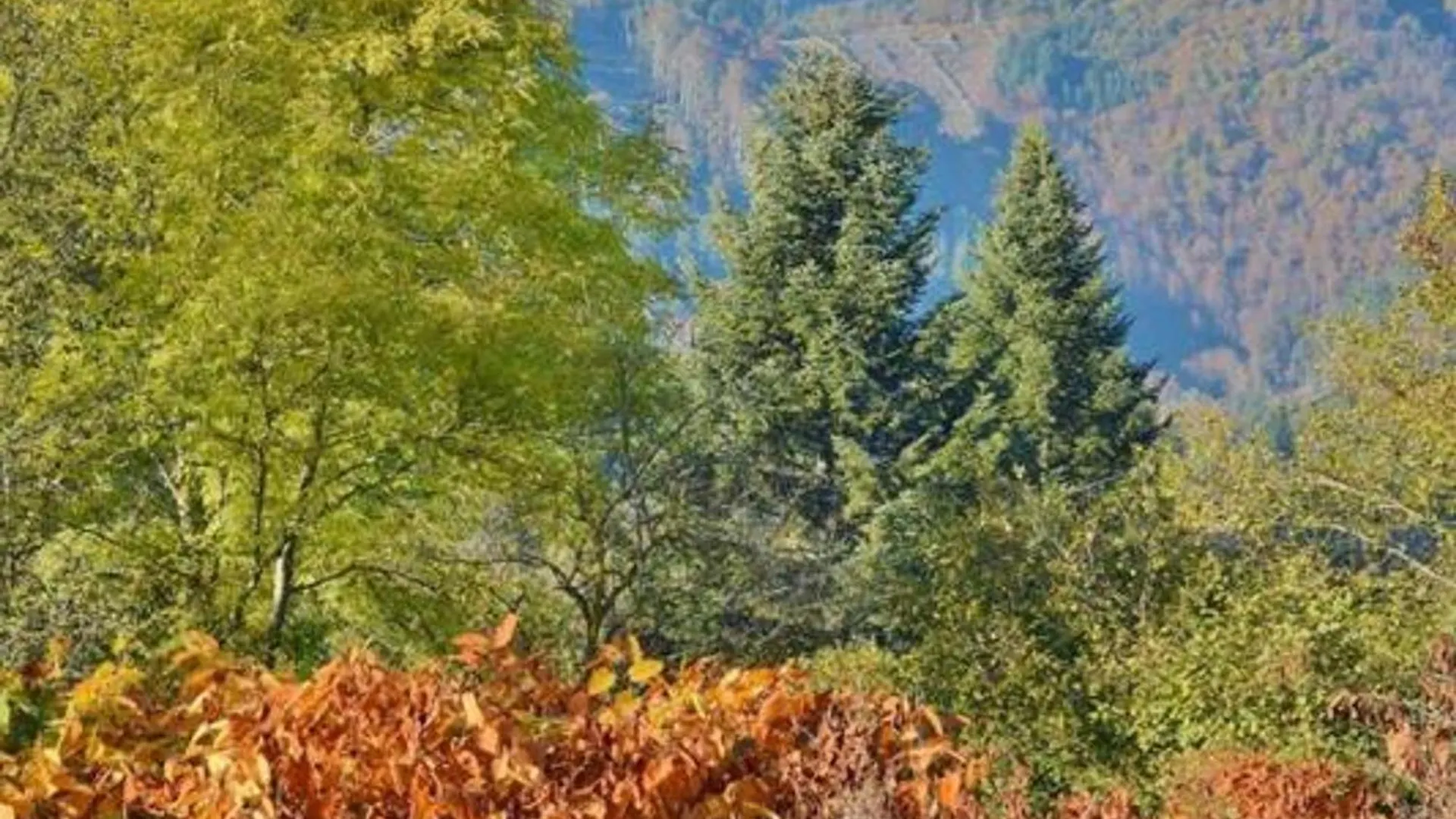 Retraite En Montagne Bourbonnaise: Gite Convivial Pour 14 Pers., Proche Loisirs Et Nature - Fr-1-489-343 La Chabanne